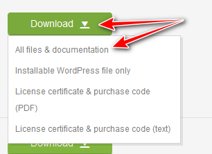 Kampina Theme Download Package